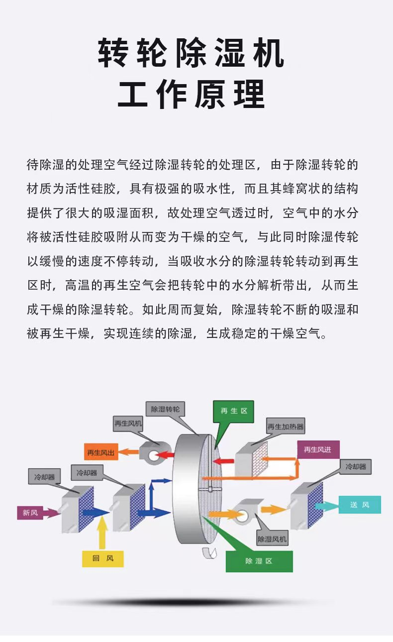d6848f81747e95b0c11374ae75295c05_b88e3e72-7622-4d7d-9c7f-f0efa0798e06_t=1702343051642.png